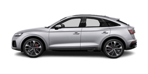 아우디_Q5_2023년형_SQ5 스포트백 가솔린 3.0_SQ5 TFSI_color_ext_side_Floret Silver Metallic.png